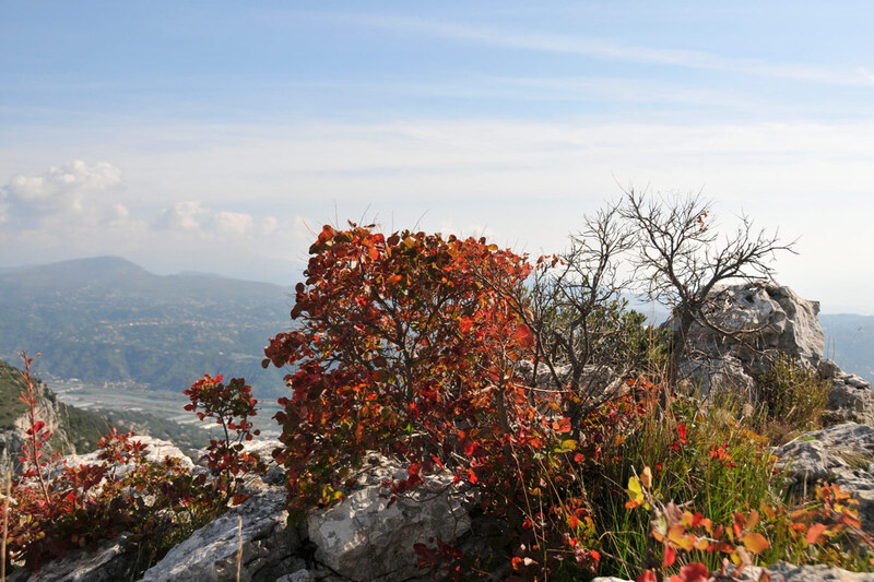 Saint-Jeannet