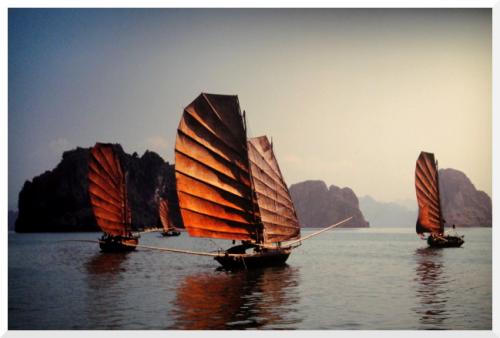 L'Envol du dragon, art royal du Vietnam.2