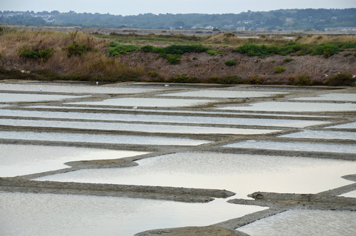 Les marais salant de Guérande. (44069)