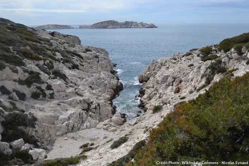 LES CALANQUES DE MARSEILLE