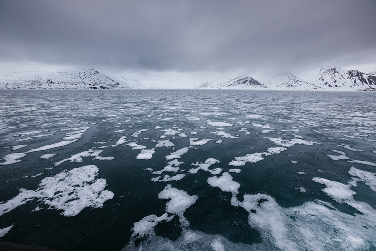 Nordstjernen 20 Mai - Monacobreen