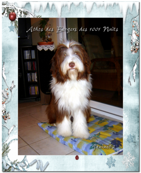 Athos Athos