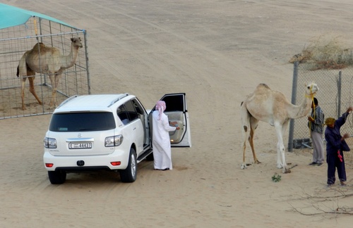 UAE Sortie désert