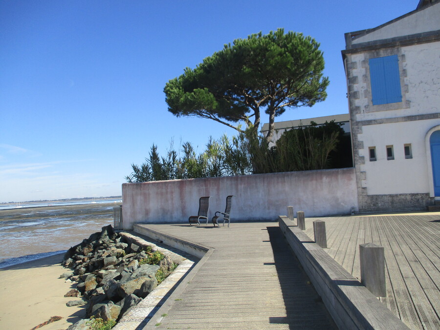 RONCE  LES  BAINS  ET  SA  PLAGE    SEPTEMBRE-OCTORE   2022  (1)