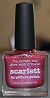 PICTURE POLISH