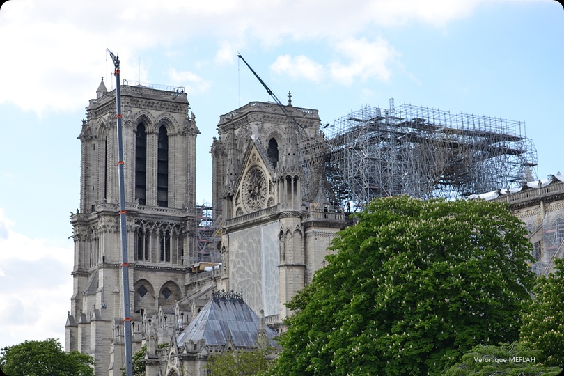Notre-Dame de Paris : Une bâche pour la protéger de la pluie