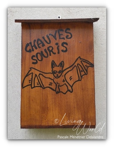 2022 - Abri pour Chauves souris - ND