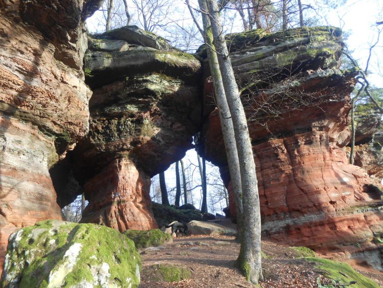 Vosges du nord/Palatinat-le pays des rochers fantastiques