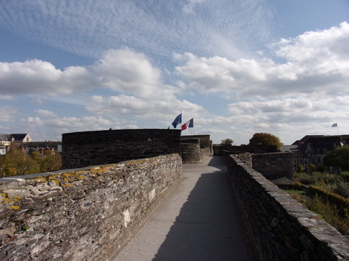 Château d'Angers (1).