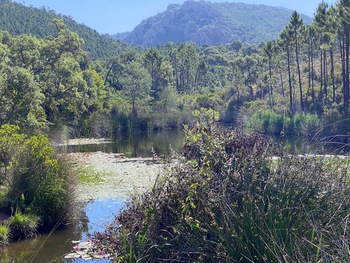 Dernier regard au lac