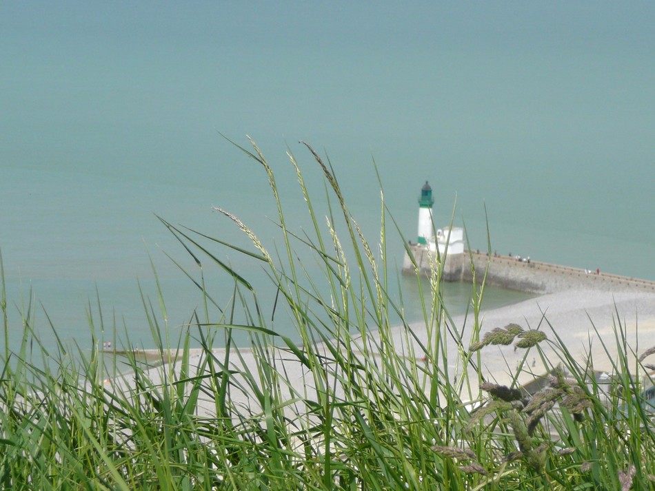 Entre Mers les Bains et Pourville 