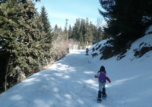 Cabane (2 nuits) : Les Tuts (St-Lary) - 09