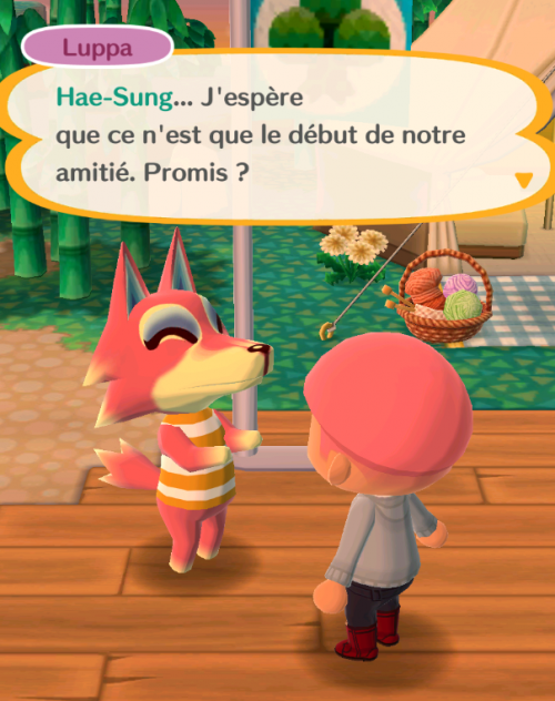 AC: nouveauté PC