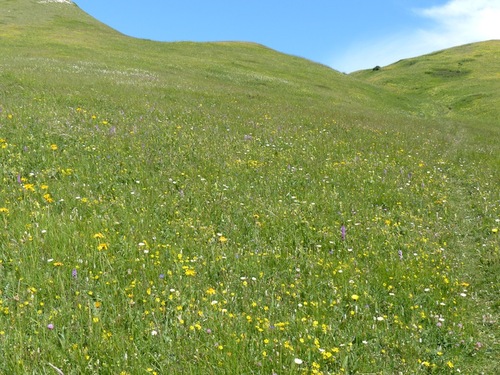 Col de l'Aup (Dévoluy)