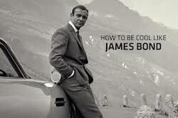 The Ultimate James Bond Webquest
