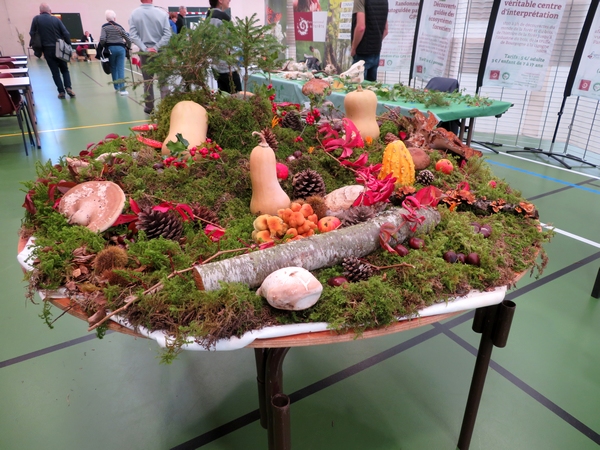 "Le Salon des Champignons de la Nature et de la Forêt" , organisé par la Société Mycologique du Châtillonnais salle Luc Schréder a été un plaisir pour les yeux !