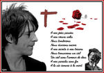 Album photo Nicola Sirkis n°1