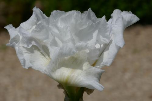 Le cartoscope du jeudi 29 juin 2023