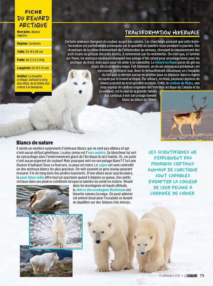 Articles/Photos sur les animaux - 5: Les Animaux blancs - Objets de fascination pour les humains depuis des millénaires (2 pages)
