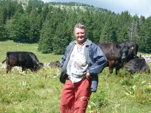 Francis et ses vaches, à la montagne