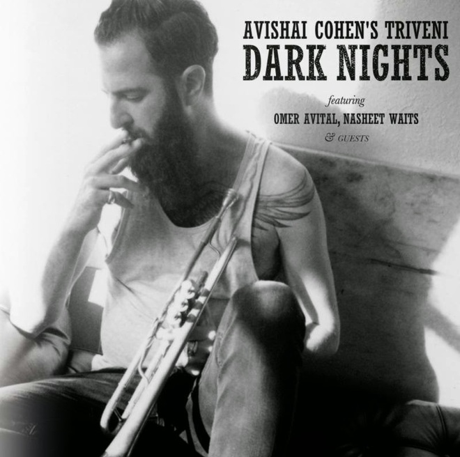 Avishai Cohen - Dark Nights (2014) [Instrumental Jazz]