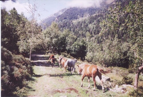 G.R.10 Etape 6 Pla de Cedelles (1911m) Ras de la Carança (1831m)