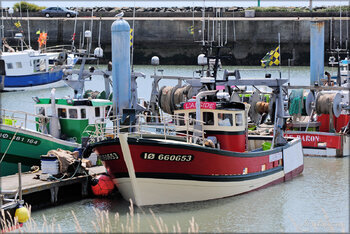 Photo bateaux de pêche (la Cotiniere-Ile d'Oléron) 