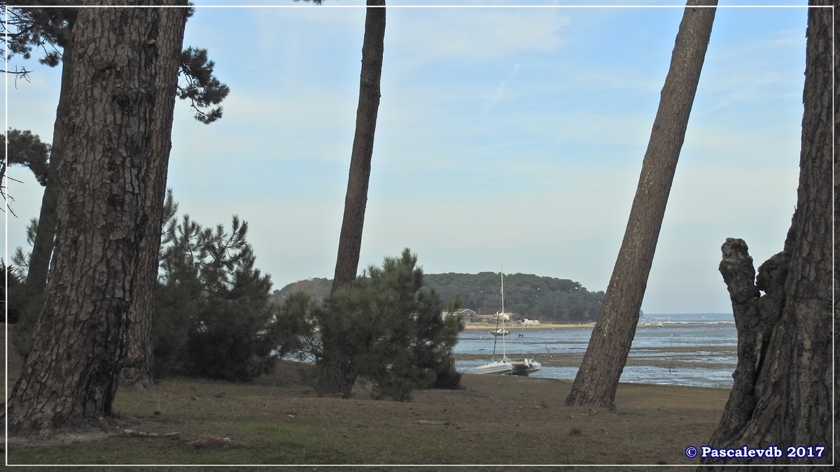 Pointe aux Chevaux - Février 2017 - 10/10