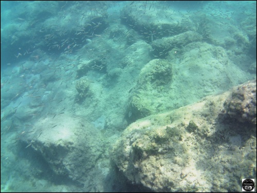 Grèce, vue sous-marine, de la mer Egée