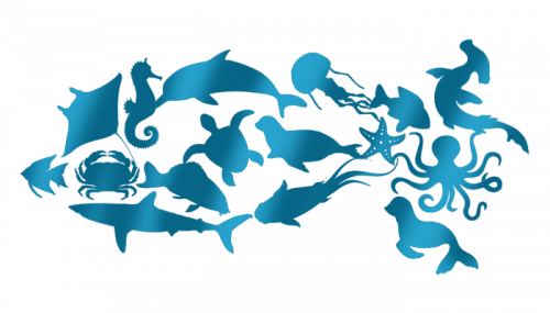 Essais de logos pour un aquarium