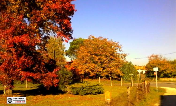 Sauternes (Gironde),ces vignobles ,son paysage ,magnifique et belle balade ou l'automne commence a venir