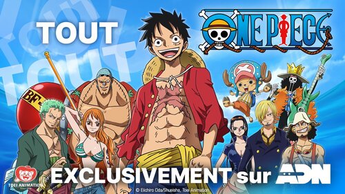 One Piece sur ADN : les 993 épisodes de la série sont disponibles