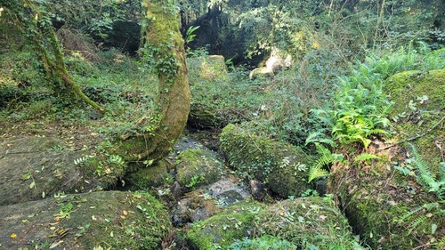 Rando à Trédion , 15,600 km à travers forêt et petits chemins creux avec une visite au beau calvaire de Callac 