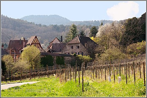 kaysersberg-10.jpg