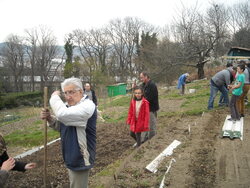 C'est le printemps.Retour aux jardins Volpette