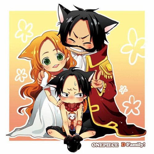 One Piece D. Family