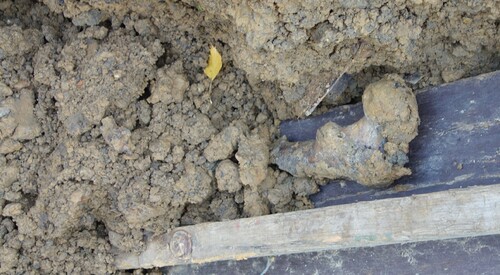 Fin de Toussaint morbide au cimetière de Bruxelles