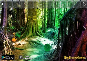 Jouer à Big Escape from emerald Thanksgiving forest
