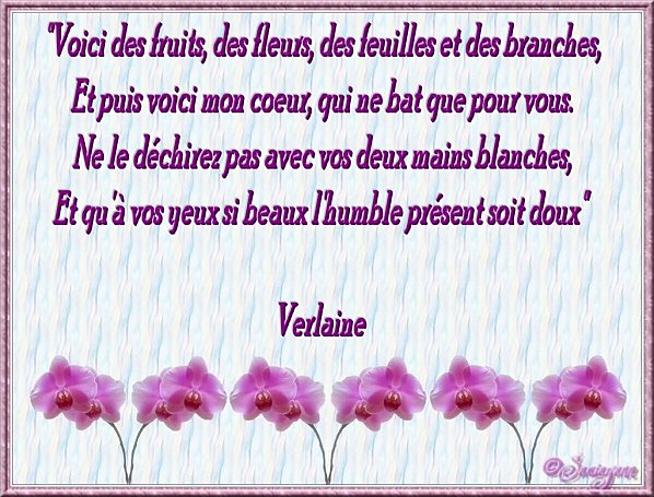 Logiciel pour envoyer des photos par internet