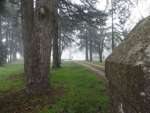 Mardi - sur les chemins Guyons