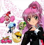 Shugo Chara images