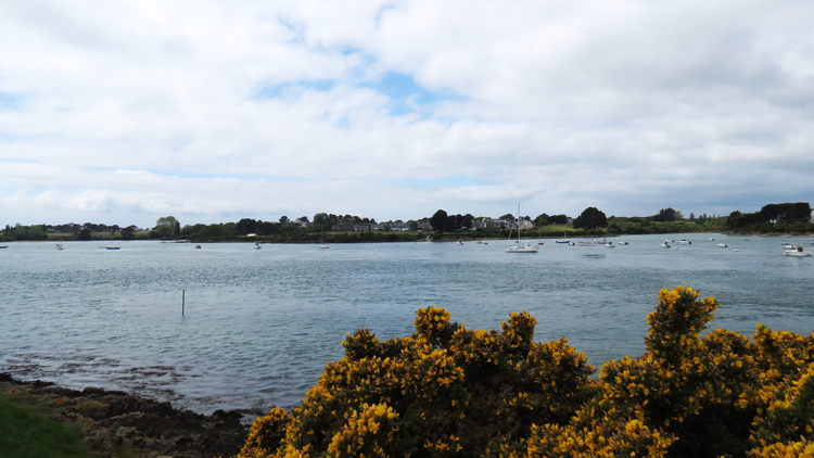 Port Niscop à Pont Lorois (Morbihan)