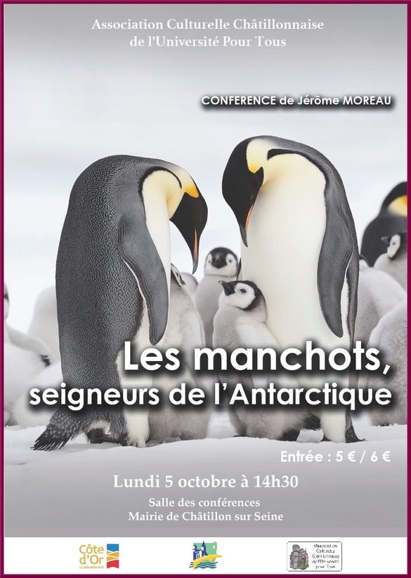 "Les manchots, seigneurs de l'Antarctique", une conférence de Jérôme Moreau pour l'ACC