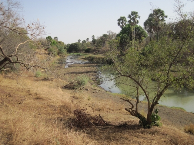 337 Bénin Pendjari Rivière Pendjari