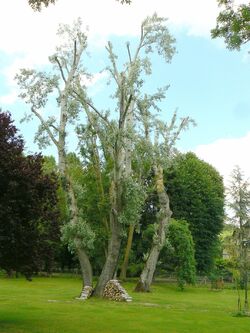 Les coteaux de Giverny