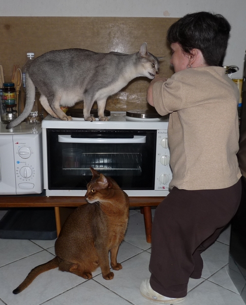 Séance gourmandise !!!!!!