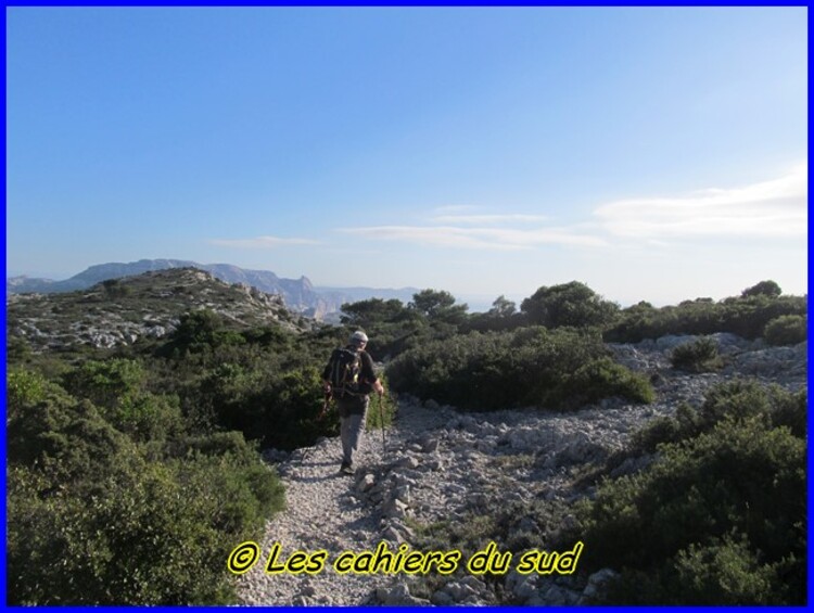 Le renard des calanques suite et ...fin !