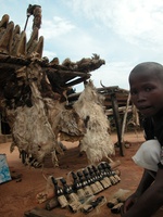 Photos vidéos, Morceaux choisis du Togo