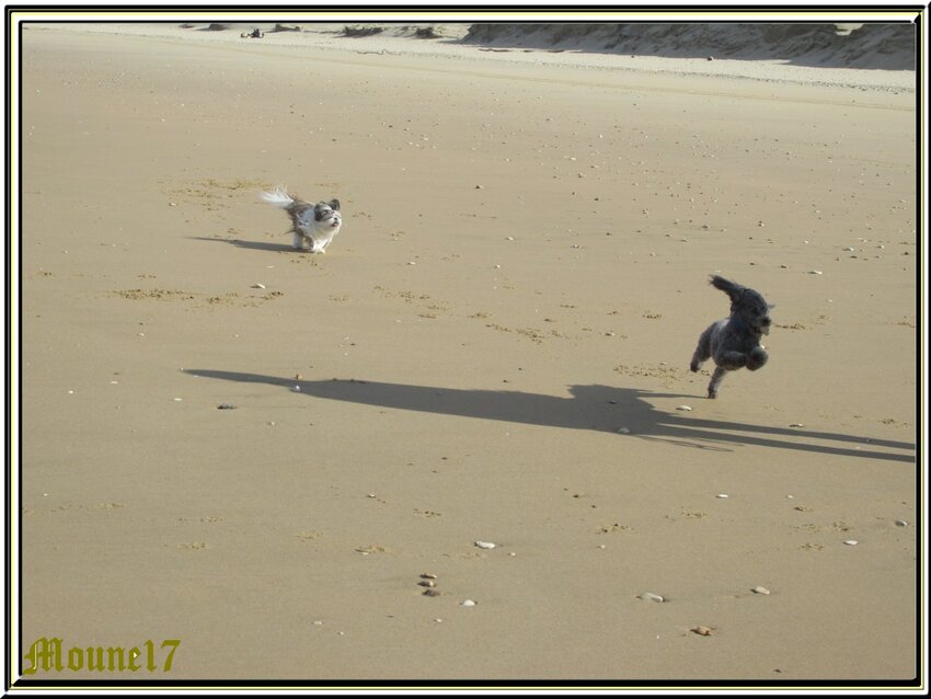 Un petit air de vacances 