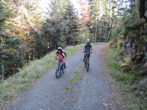 VTT : Bòrdes de Sauvaga (col du Portillon) - 31/Val d'Aran